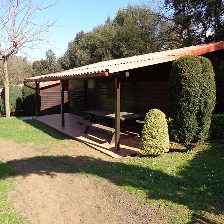 Camping Ecologic Lava Santa Pau Ngoại thất bức ảnh